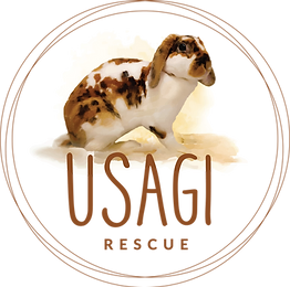 Usagi Rescue